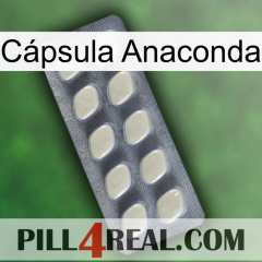 Cápsula Anaconda 08